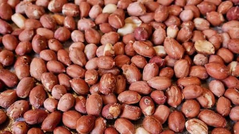 خشکبار بادام زمینی باکیفیت مناسب بسته بندی فروشگاهی